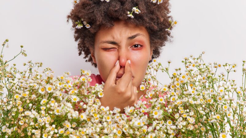 Tout savoir sur les allergies saisonnières